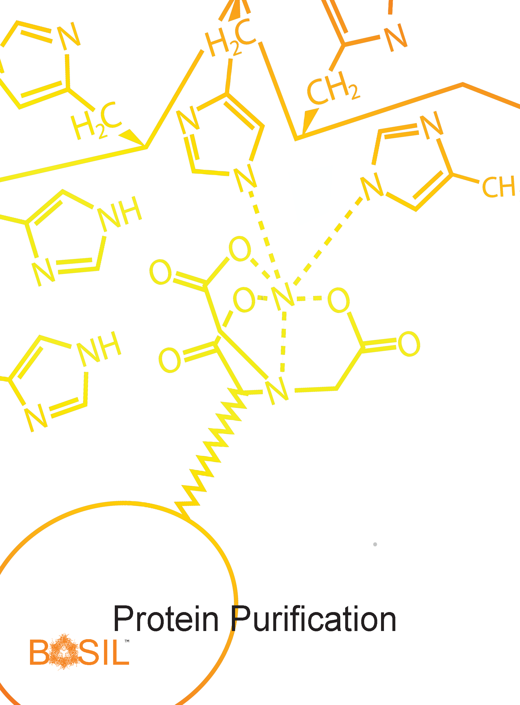 Protein Purification